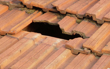 roof repair Cuckolds Green